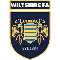 Wiltshire FA U16 badge
